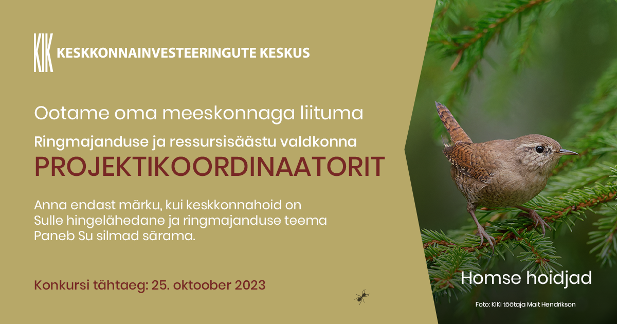 Töökuulutus