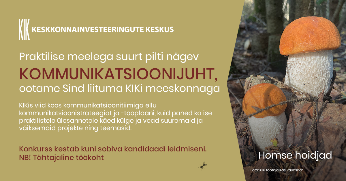 Kommunikatsioonijuht