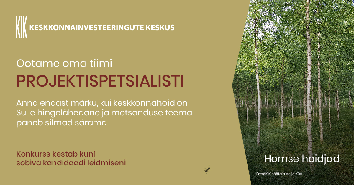 Projektispetsialist