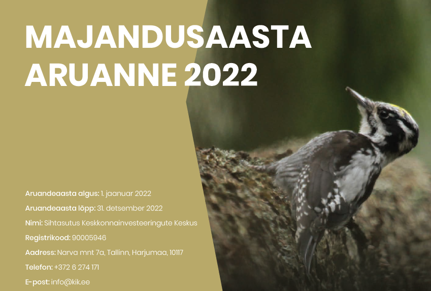 Majandusaasta aruanne