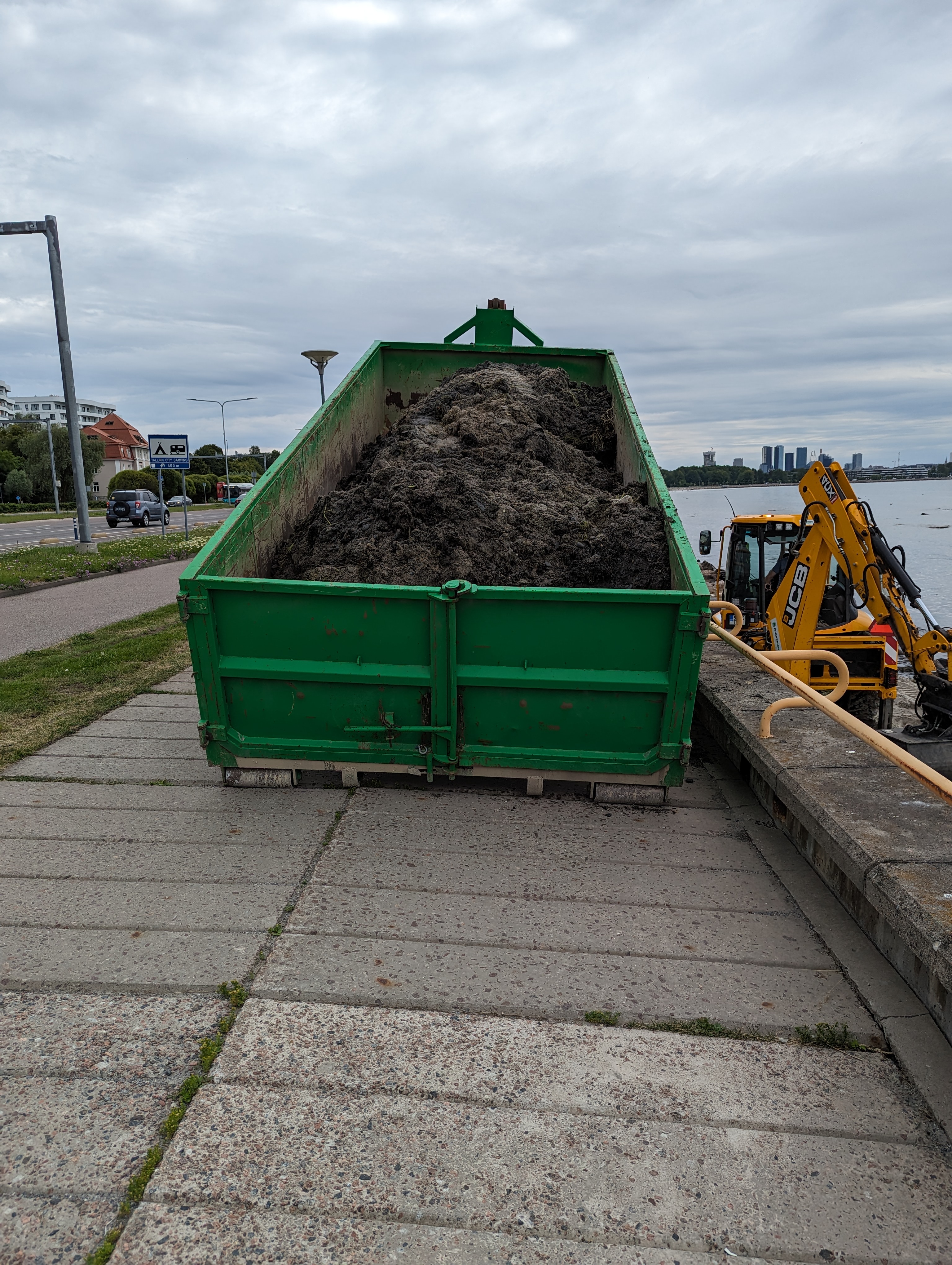 Pirita koristustööd7