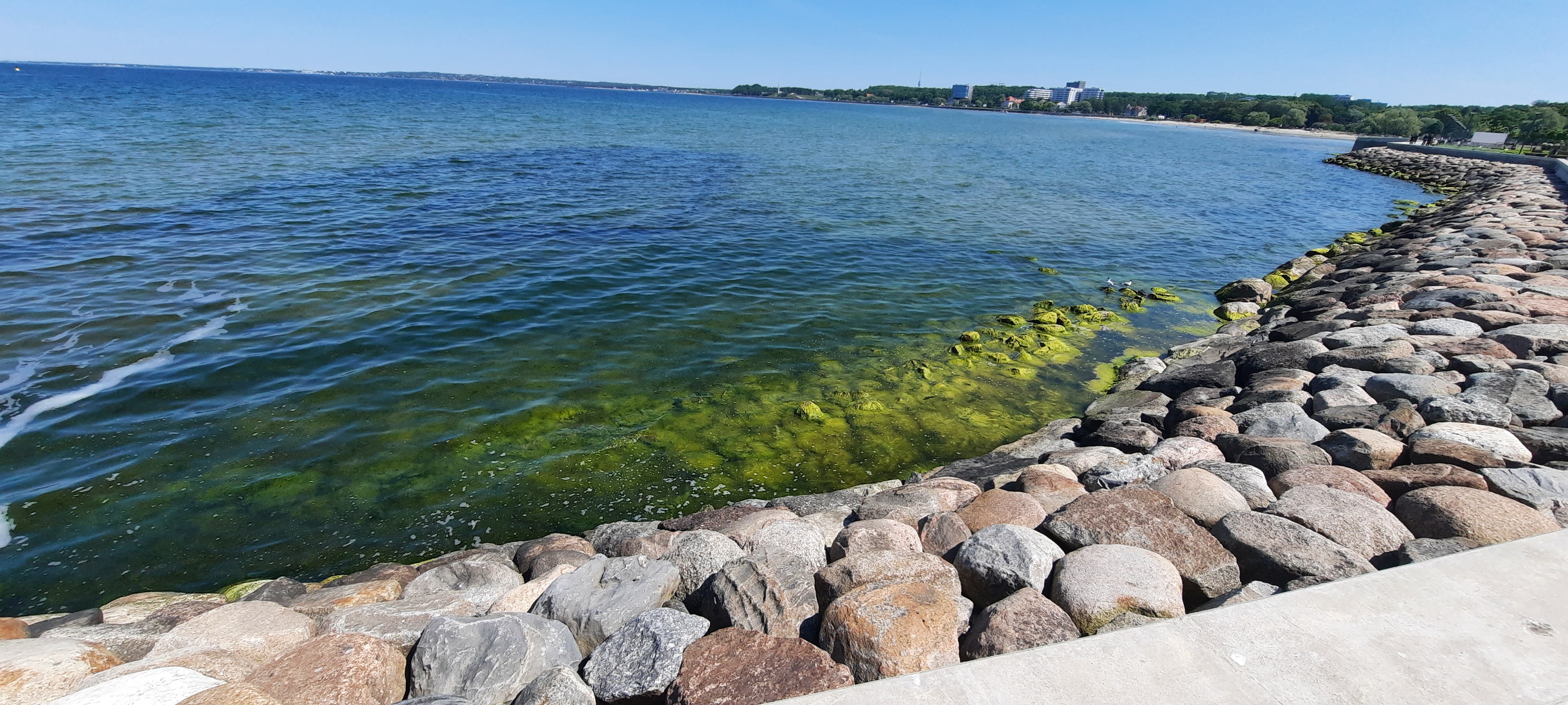 Vertikad Pirita teel