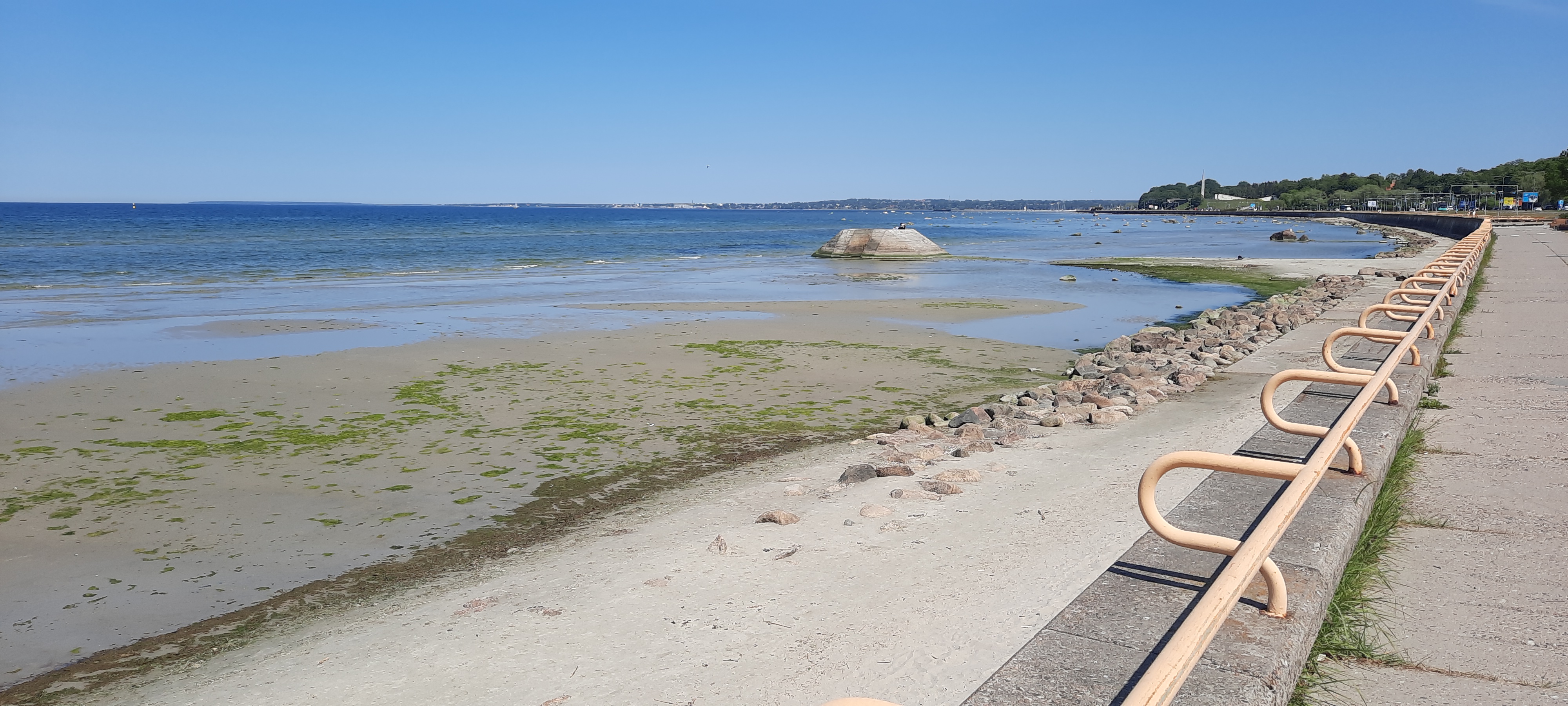 Vetikad Pirita teel