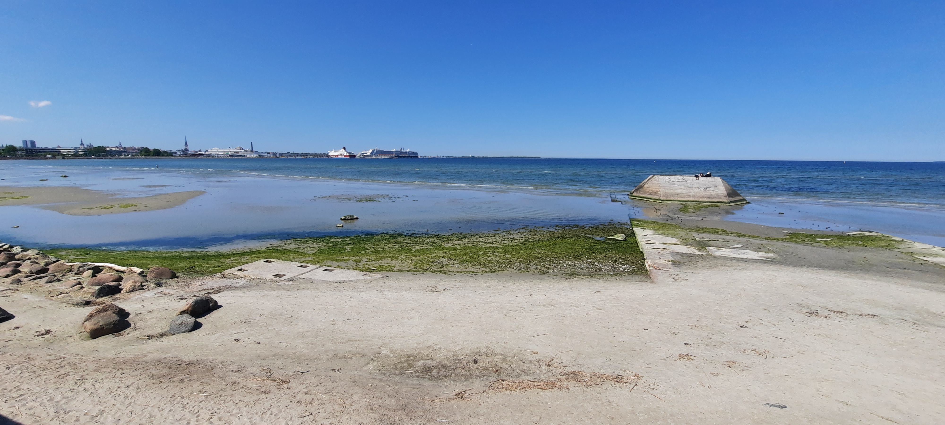 Vetikad Pirita teel