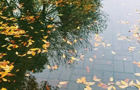 Üleujutusohu riskide uuringud