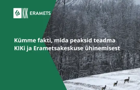 Kümme fakti