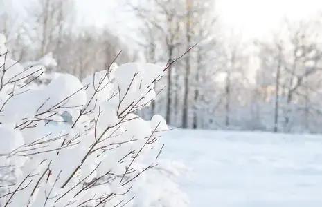 Keskkonnaprogrammi eelarve