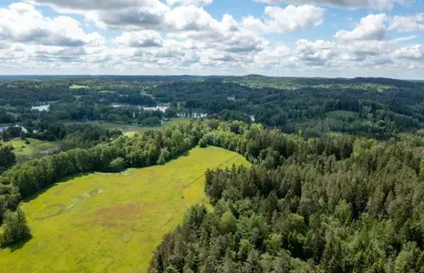 Haanimaa