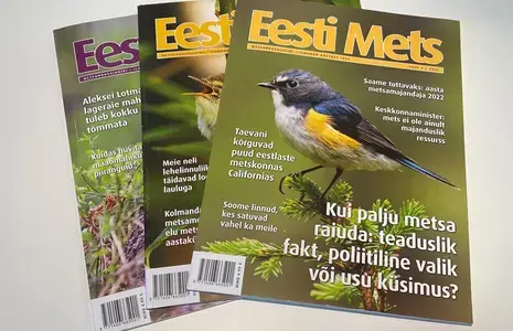 Ajakiri Eesti Mets