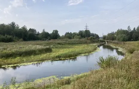 Purtse jõgi