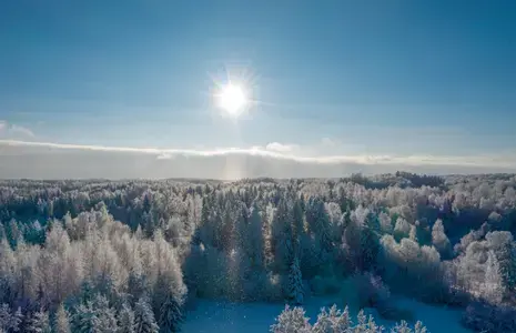 Talvine mets Haanjamaal