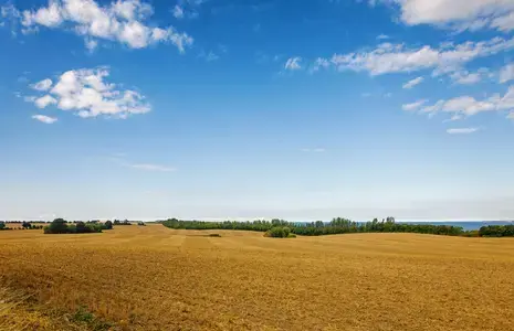 Põld