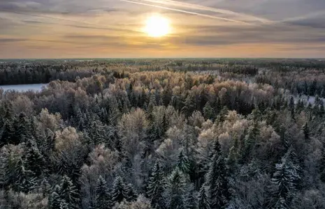 Härmas mets