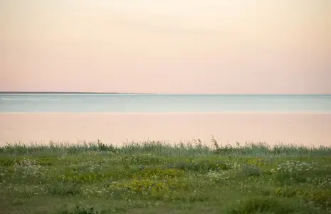 Roosa taevas, veekogu ja ees muru lilledega