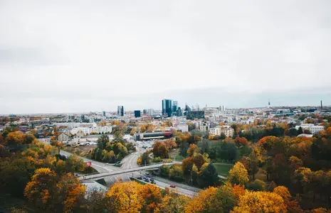 pexels-kpaukshtite-704820.jpg