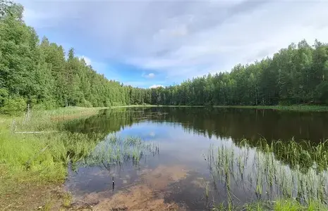 Kurtna järv