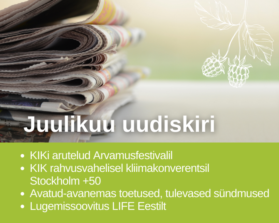 Juulikuu uudiskiri