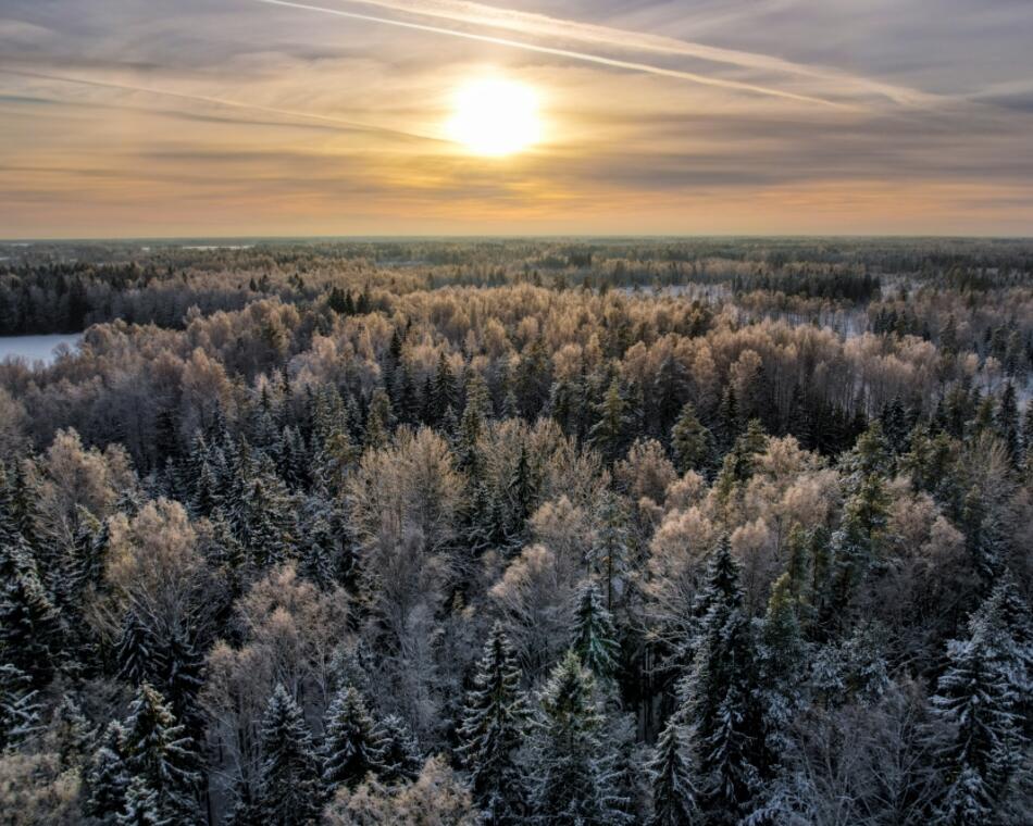 Härmas mets