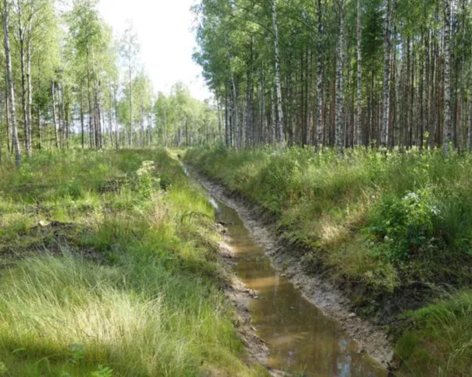 Maaparandus
