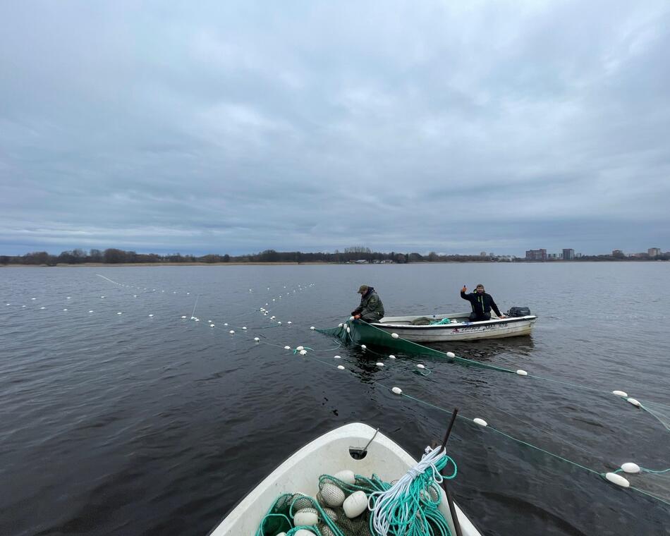 Harku järv
